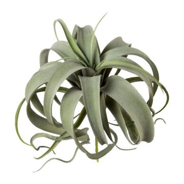 Künstliche Sukkulente Tillandsia xerographica TRUMSY, Steckstab, grün, 28cm, Ø25cm