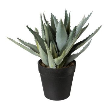 Künstliche Sukkulente Aloe Vera BLORN im Dekotopf, grün, 23cm