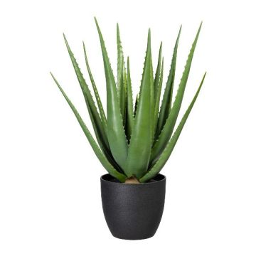 Kunst Sukkulente Aloe Vera KRONFA im Dekotopf, grün, 65cm