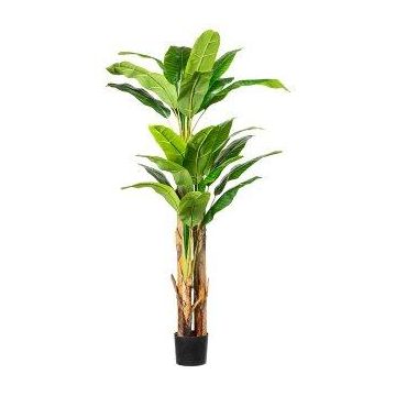 Künstliche Palme Bananenpflanze FABIEN, 180cm