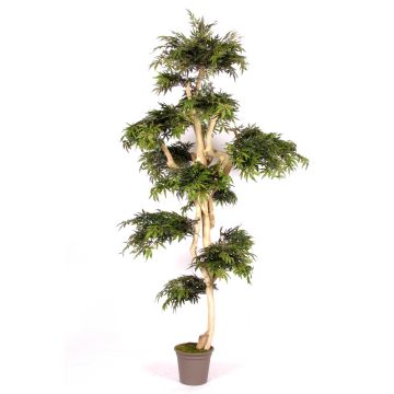 Dekobaum Japanischer Ahorn AFANAS, Naturstamm, grün-rot, 250cm - Made in Italy