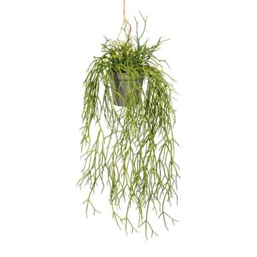 Kunst Rhipsalis Blumenampel SKRAKY, Dekotopf, hängend, grün, 60cm