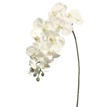 Dekozweig Phalaenopsis Orchidee JUANRU, weiß, 100cm