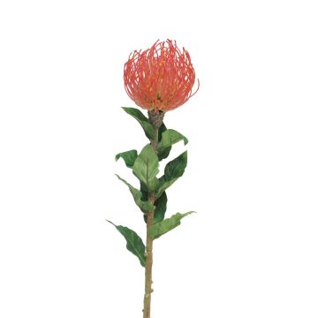 artplants im Online-Shop Protea kaufen Künstliche