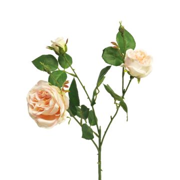 Deko Zweig Rose SHIYUN, creme-rosa, 60cm