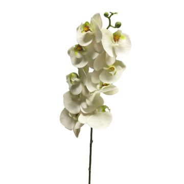 Kunstzweig Phalaenopsis Orchidee SONGYA, weiß, 105cm