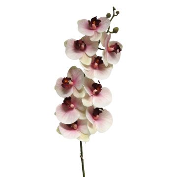 Kunstzweig Phalaenopsis Orchidee SONGYA, pink-creme, 105cm