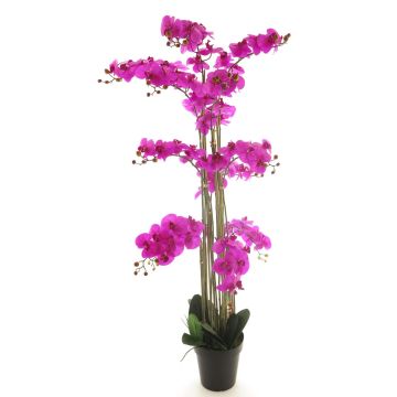 Kunstblume Phalaenopsis Orchidee CHENXU, pink, 140cm