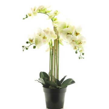 Kunstblume Phalaenopsis Orchidee CHENXU, weiß, 60cm