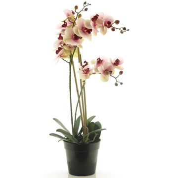 Kunstblume Phalaenopsis Orchidee CHENXU, rosa-creme, 55cm