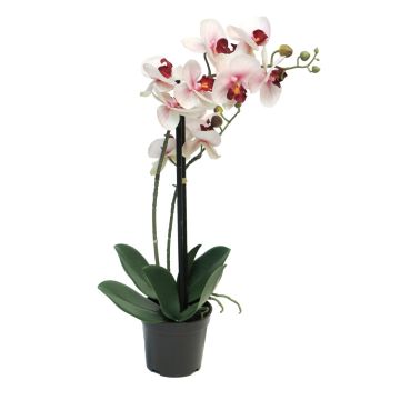 Kunstblume Phalaenopsis Orchidee CHENXU, rosa-creme, 50cm