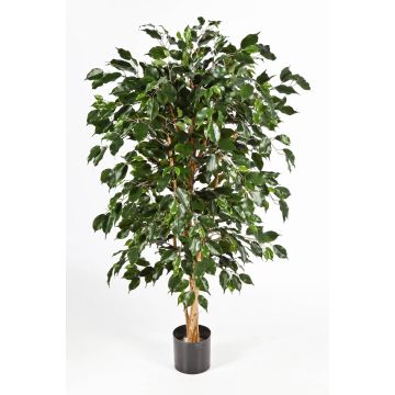 kaufen Ficus im artplants Künstlichen Online-Shop