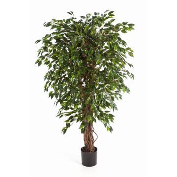Online-Shop im Künstlichen kaufen Ficus artplants