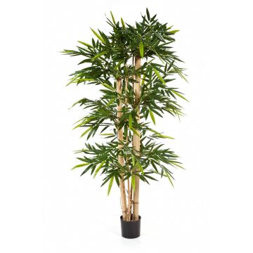 kaufen artplants Künstlichen Online-Shop Bambus im