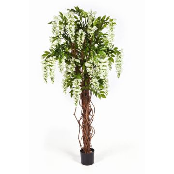 Künstlichen Goldregenbaum kaufen im artplants Online-Shop
