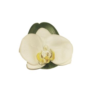 Dekoblüten Phalaenopsis Orchidee CALIN, 6 Stück, schwimmend, weiß, 11cm