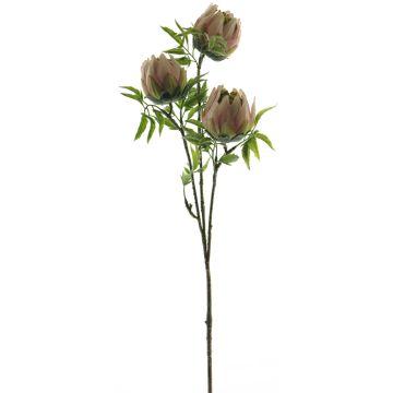 Künstliche artplants Online-Shop Protea im kaufen