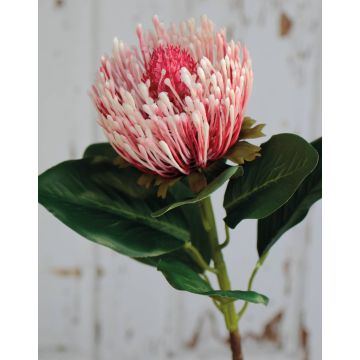 Künstliche Protea kaufen im Online-Shop artplants
