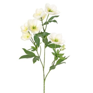 Künstlicher Christrosen Zweig ANYALA, creme-weiß, 50cm