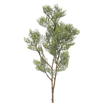 Dekozweig Zypresse SILVARIO, grau-grün, 75cm