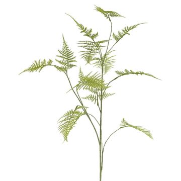 Deko Asparagus plumosus Zweig UHERA, grün, 140cm