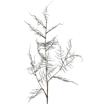 Künstlicher Asparagus acutifolius Zweig NYALA, dunkelgrün, 85cm