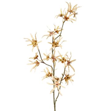 Künstlicher Zaubernuss Zweig ORAFA mit Blüten, beige, 80cm