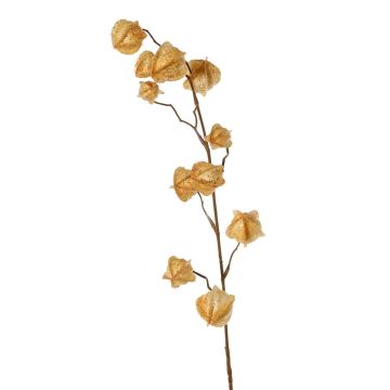 Künstlicher Physalis Zweig AINOS, Früchte, Glitzer, beige, 80cm