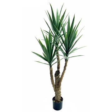 Künstliche Yucca HIMBERGA, 150cm