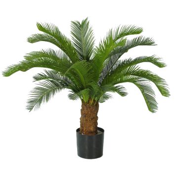 Dekopalme Cycas SLITAL, 80cm