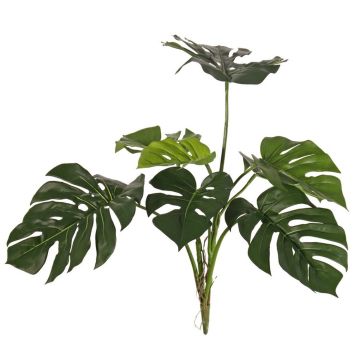 Deko Philodendron Monstera Deliciosa CHANIA, crossdoor, Steckstab, 75cm