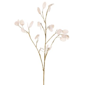 Dekozweig Lunaria KONIA, creme, 95cm