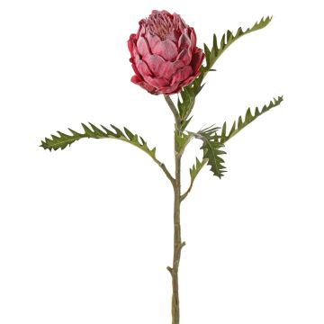 Unechte Protea BREGANSA, altpink, 65cm, Ø8cm