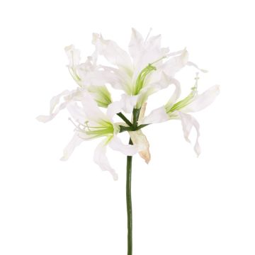 Kunst Gartenamaryllis KUSTANA, weiß, 70cm, Ø20cm