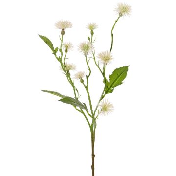 Kunst Wiesen-Flockenblume HOLLA, weiß, 55cm