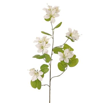 Kunstzweig Bauhinia ENSANA, weiß, 120cm