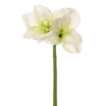 Deko Amaryllis NARWELA, weiß-grün, 70cm, Ø10-13cm