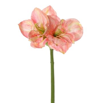 Deko Amaryllis NARWELA, rosa-creme, 70cm, Ø10-13cm