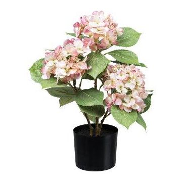 Kunstblume Hortensie TRAVOLI, rosa-creme, 55cm