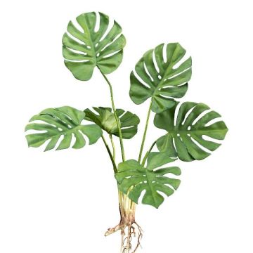 Fake Pflanze Philodendron monstera deliciosa VOGRA, Steckstab, Wurzeln, 65cm