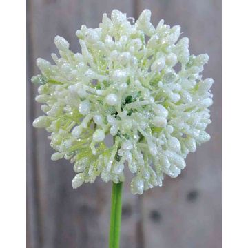 Künstliches Allium kaufen artplants im Online-Shop