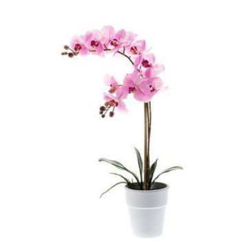 Kunst Phalaenopsis Orchidee CANDIDA im Keramiktopf, rosa, 65cm