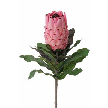 Künstliche Protea kaufen Online-Shop artplants im