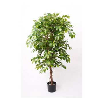 Künstlichen Ficus kaufen im artplants Online-Shop