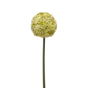 kaufen Allium Künstliches artplants Online-Shop im
