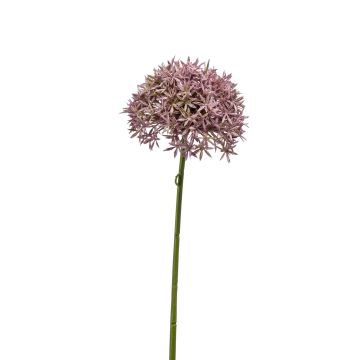 Künstliches Allium Online-Shop artplants kaufen im