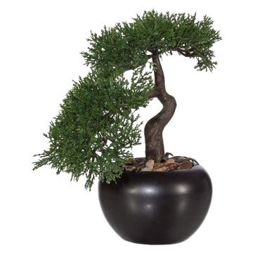 Kunstbaum Bonsai Zeder FALKE mit Wurzeln, Keramiktopf, 25cm