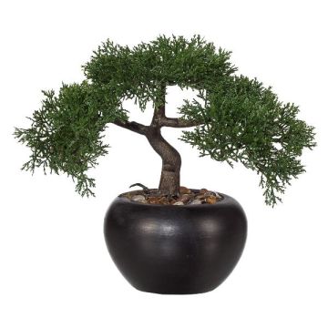 Kunstbaum Bonsai Zeder FALKE mit Wurzeln, Keramiktopf, 26cm