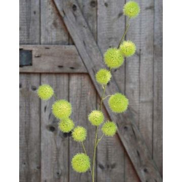 Kunst Ballon-Wolfsmilch Zweig ELAENA, Früchte, grün, 100cm