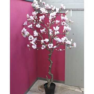 Kunst Magnolien Baum TIAGO, weiß-rosa, 210cm